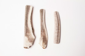 Bois de cerf contre tartre