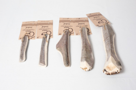 BENJI - Beveled deer antlers