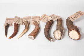 Gamme bois de cerf entier, féroce mâchouilleur