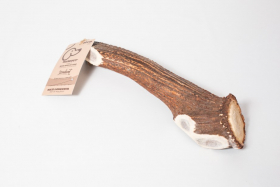 Mamouth', bois de cerf 30cm