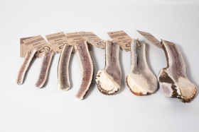 TOBY - Sliced deer antlers