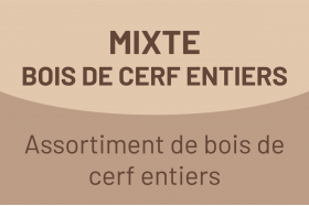Mixte Bois de cerf entier