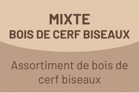Mixte Bois de cerf biseau