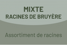 Mixte Racine de bruyère