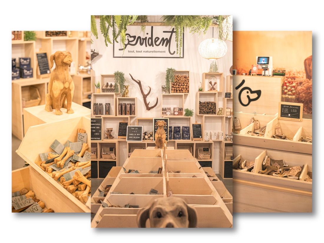 Photos de notre boutique à Hallennes-lez-haubourdin