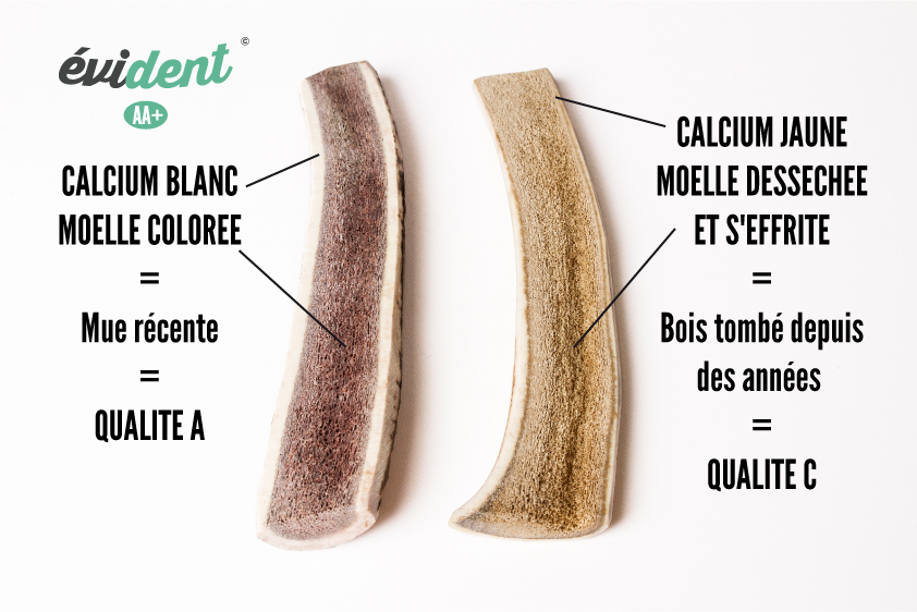 bois de cerf tranché gourmand